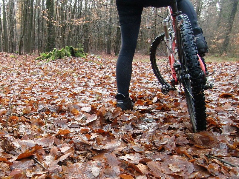 MTB Hoesseringen 2010 077